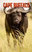 Cape Buffalo: Learn About Cape Buffalo and Enjoy Colorful Pictures