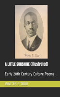 A LITTLE SUNSHINE (illustrated)