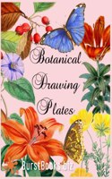 Botanical Drawing Plates