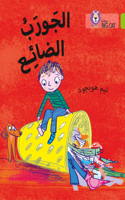 Lost Sock: Level 11(Collins Big Cat Arabic Reading Programme)