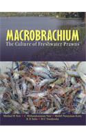 Macrobrachium: The Culture of Freshwater Prawns