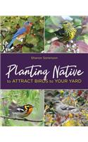 Planting Native to Attract Birds to Your Yard