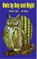 Owls by Day and Night
