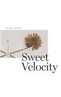 Sweet Velocity