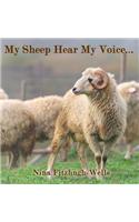 My Sheep Hear My Voice