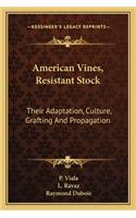 American Vines, Resistant Stock