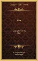 Ziva