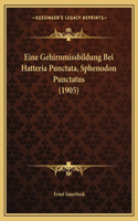 Eine Gehirnmissbildung Bei Hatteria Punctata, Sphenodon Punctatus (1905)