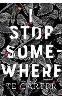 I Stop Somewhere