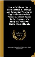 How to Build up a Heavy Laying Strain; a Thorough and Exhaustive Treatise on Egg Production and the Conditions Which Govern the Development of a Heavy and Persistent Laying Strain of Fowls