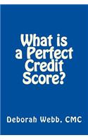 What is a Perfect Credit Score?