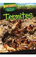 Termites