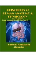 Principles of Human Anatomy & Physiology Second Edition