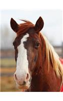 Kids Large Horse Journal