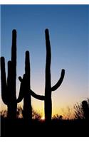 Saguaro Cactus with End of Day Sunburst Journal