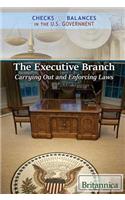 Executive Branch: Carrying Out and Enforcing Laws