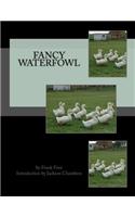 Fancy Waterfowl