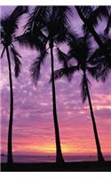 Journal Palm Trees Against Sky: (Notebook, Diary, Blank Book)(Travel Journals Notebooks Diaries)