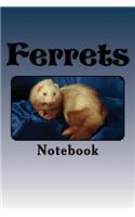 Ferrets