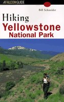 Yellow Stone National Park Guide