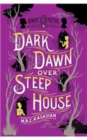 Dark Dawn Over Steep House