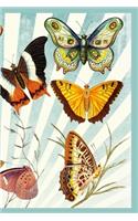 Butterfly Journal Notebook: Vintage Retro Butterfly Design