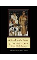 A Stroll in the Snow