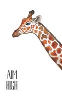 Aim High