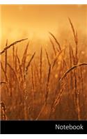 Notebook: Lever du soleil, Brouillard du matin, l'humeur, Paysage Carnet / Journal / Livre d'écriture / Calepin / Agenda / Notes - 6 x 9 pouces (15,24 x 22,86