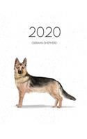 2020 German Shepherd: Dated Weekly Planner With To Do Notes & Dog Quotes - German Shepherd