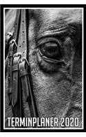 Terminplaner 2020: Jahresplaner von September 2019 bis Dezember 2020 mit Pferd - Planer mit 174 Seiten in weiß im Format A5 mit glänzendem Soft Cover.
