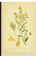 Nature Journal - Vintage Print