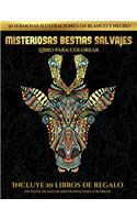 Libro para colorear (Misteriosas bestias salvajes)