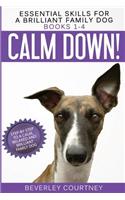 Essential Skills for a Brilliant Family Dog