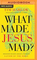 What Made Jesus Mad?