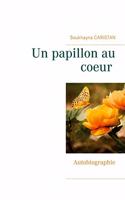 papillon au coeur