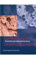 Functional Ultrastructure