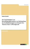 Die Nachhaltigkeit von Beschäftigungsprojekten zur Bekämpfung des Fachkräftemangels am Beispiel des 