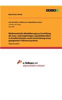 Mathematische Modellierung zur Ermittlung der kurz- und langfristigen Liquiditätsrisiken in Kreditinstituten sowie Entwicklung eines geeigneten Frühwarnsystems: (German)
