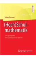 (Hoch)Schulmathematik: Ein Sprungbrett Vom Gymnasium an Die Uni: (German)