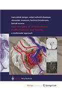 Neurosurgery of Arteriovenous Malformations and Fistulas