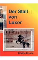 Stall von Luxor: Eine Mutter eröffnet Reitstall in Ägypten