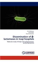 Dissemination of -Lactamases in Iraqi Hospitals