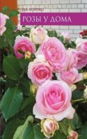 Rozy u doma
