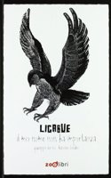 Ligabue. Il mio nome non ha importanza