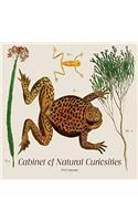 Cabinet of Natural Curiosities