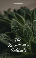 The Raindrop's Solitude
