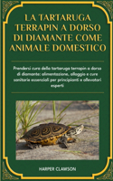 La Tartaruga Terrapin a Dorso Di Diamante Come Animale Domestico