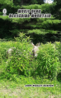 Music Upon Blackbird Mountain