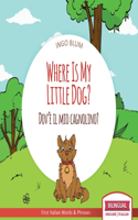 Where Is My Little Dog? - Dov'è il mio cagnolino?